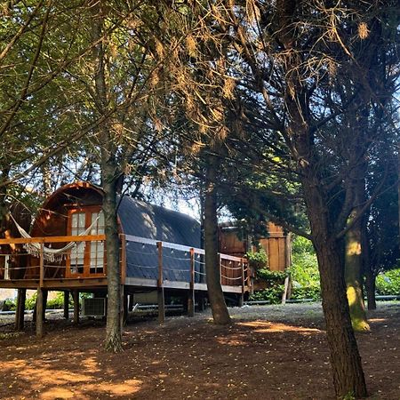 Glicinia Boutique Hotel Freamunde Luaran gambar