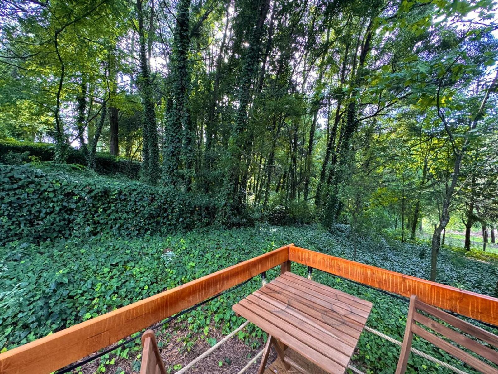 Glicinia Boutique Hotel Freamunde Luaran gambar