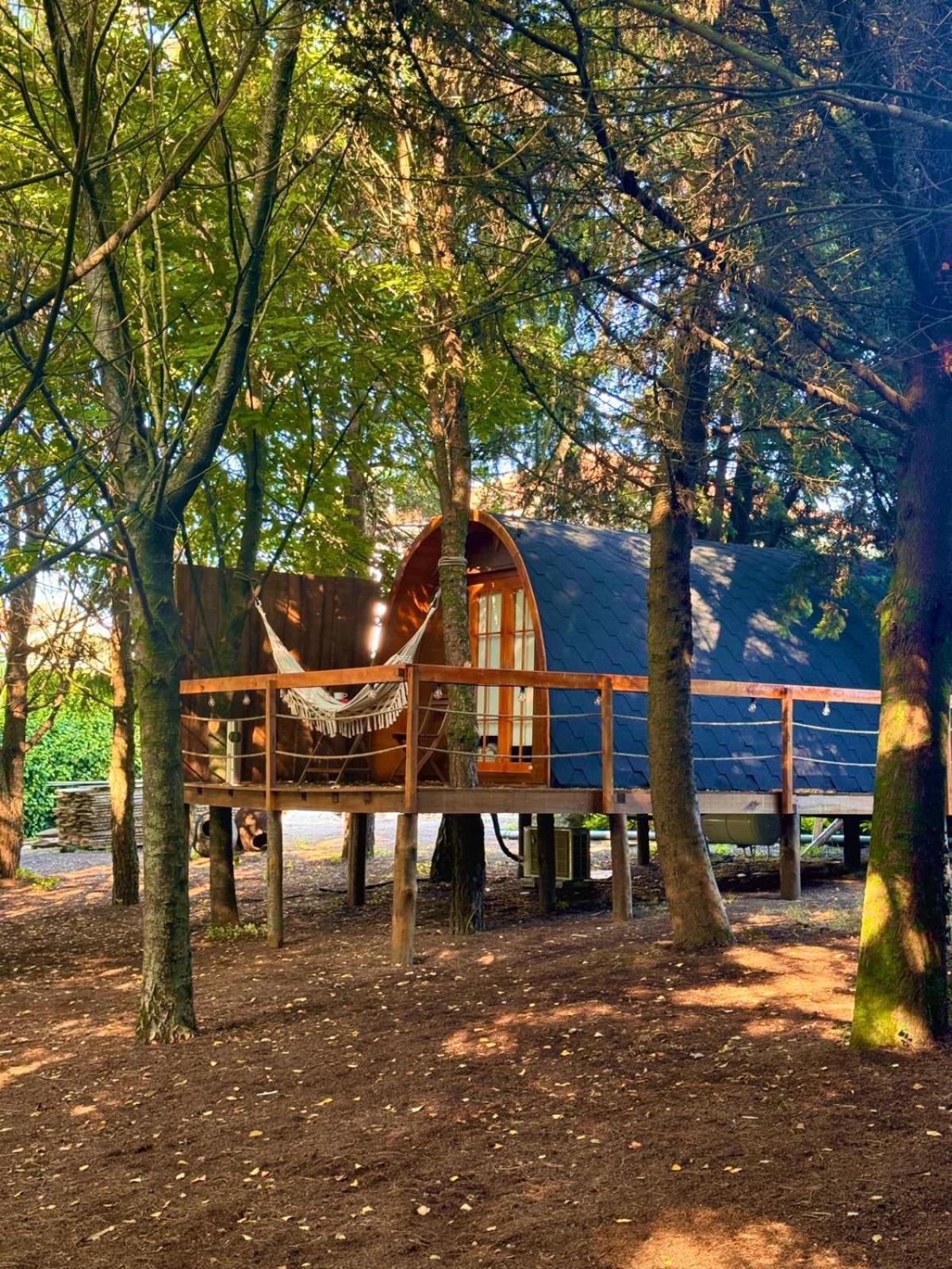 Glicinia Boutique Hotel Freamunde Luaran gambar