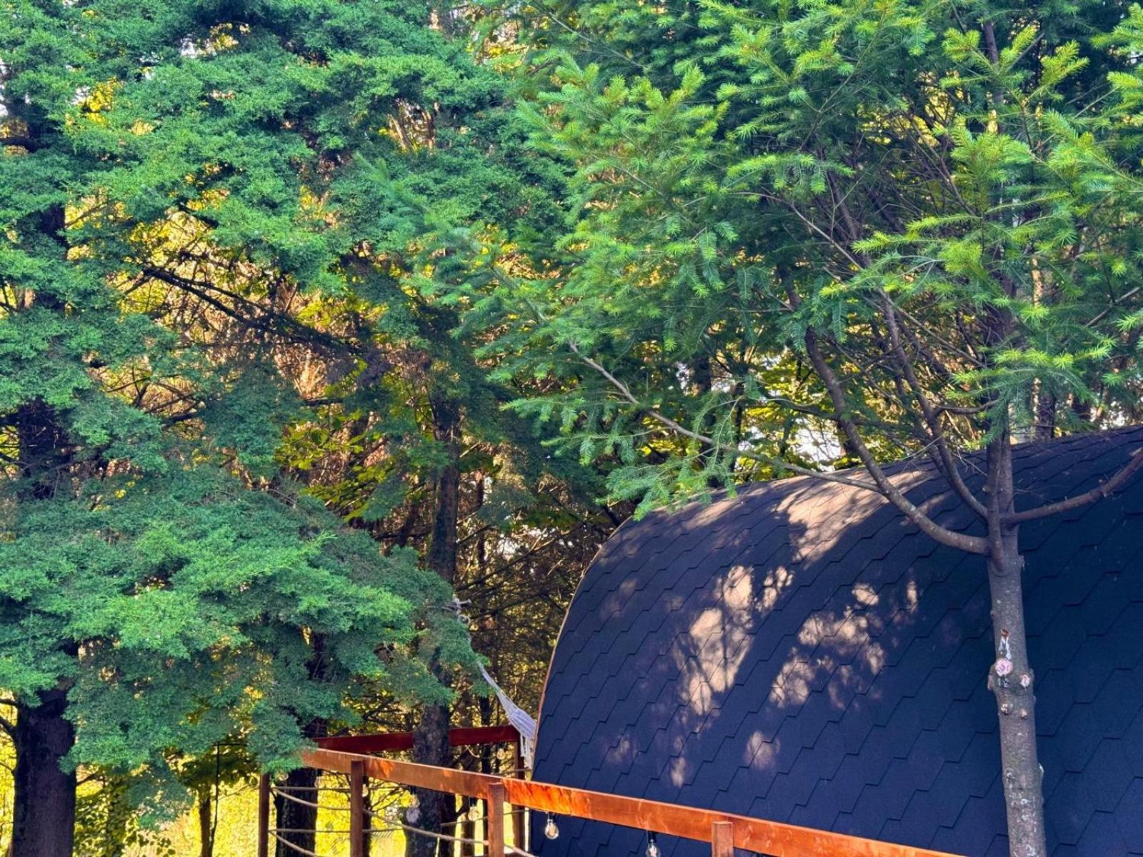 Glicinia Boutique Hotel Freamunde Luaran gambar
